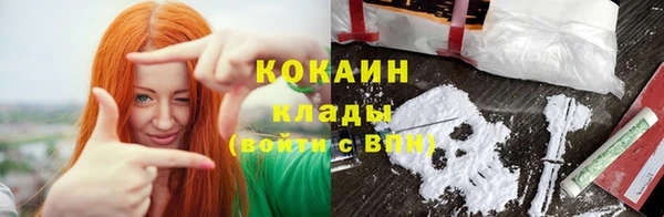 молекула духа Лихославль