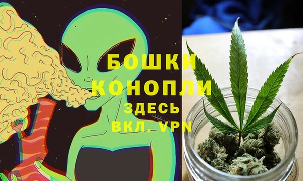 молекула духа Лихославль
