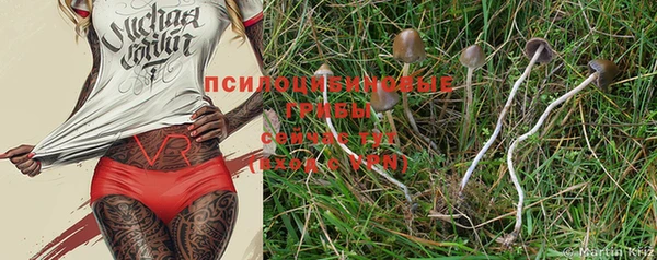 кокс Липки