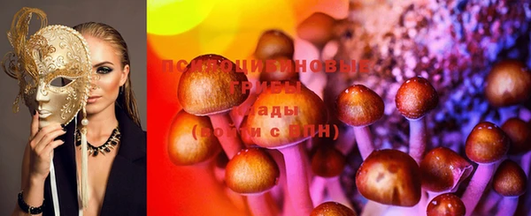 молекула духа Лихославль