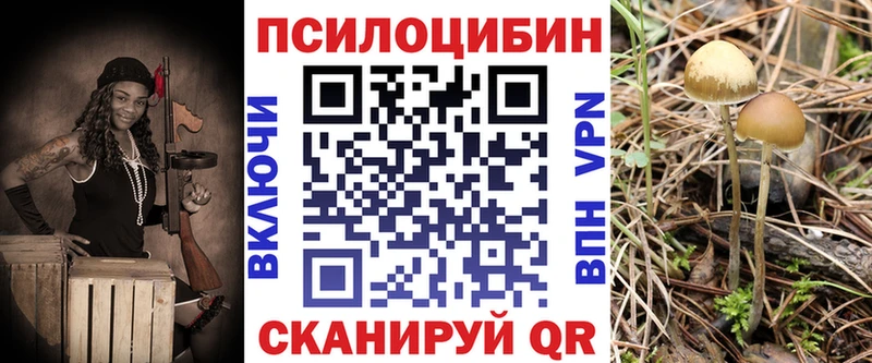 ОМГ ОМГ как войти  Ялуторовск  Псилоцибиновые грибы Psilocybe 