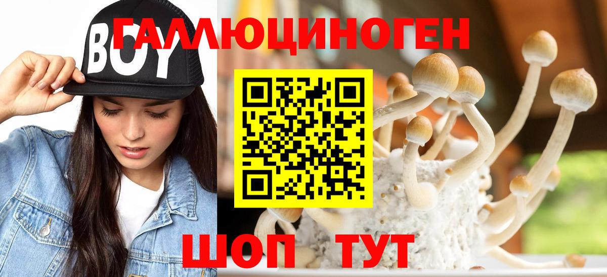 купить   Галлюциногенные грибы GOLDEN TEACHER  Вход с VPN  Ялуторовск 