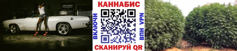 Бошки марихуана марихуана  цены   Ялуторовск 